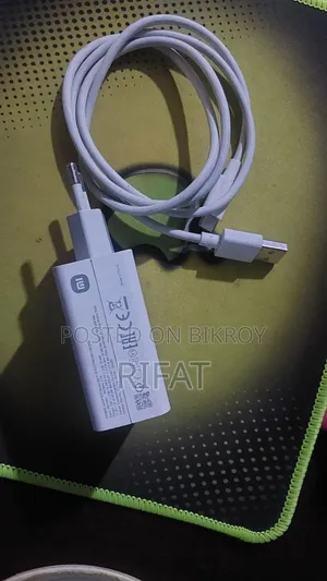 Mi 120 Watt Original Charger