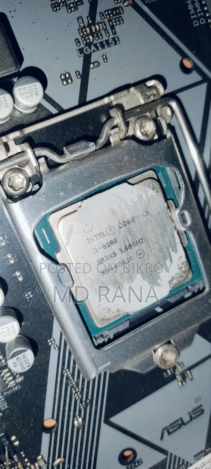 Asus Motherboard