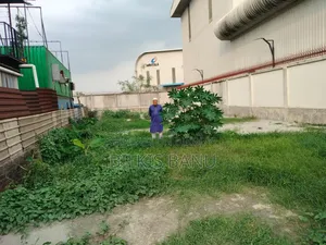 4800 sq ft Land for Rent at Choydana Malek's House, near Jajor Petrol Pump