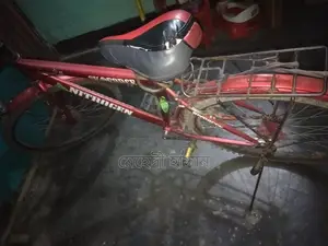 Bicycle Urgent Sale
