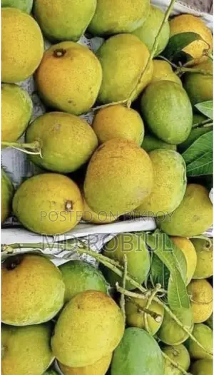 গোপাল ভোগ আম