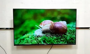 Vision 43-inch Google TV