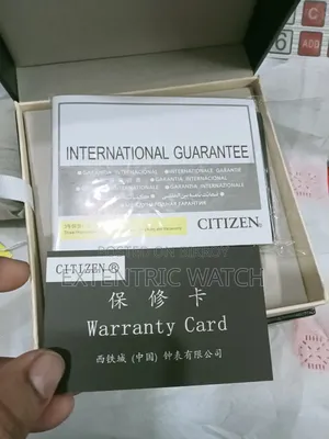 Citizen Luxury Men's Watch