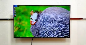Marcel-43" Inch Android Frameless Voice Control TV