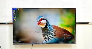 Walton-43" Inch Android Frameless Voice Control TV