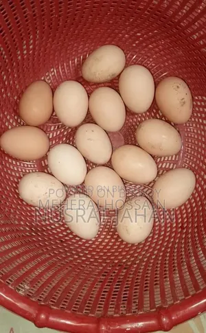 আছিল আর ডিম