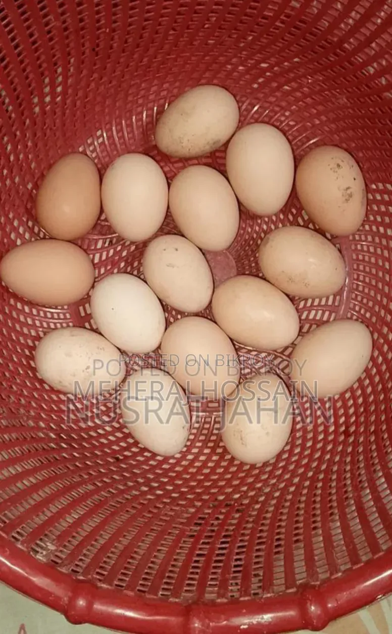 আছিল আর ডিম