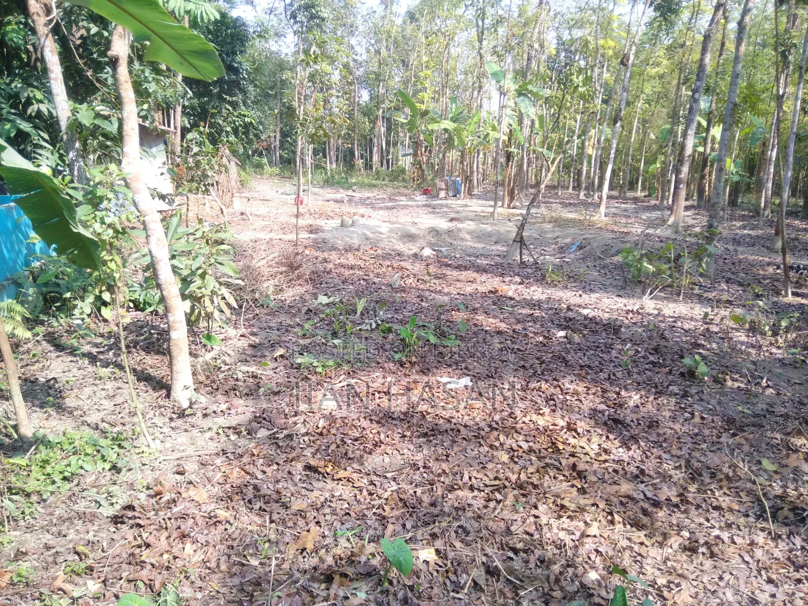 ১৩ শতাংশ জমি বিক্রি করা হবে লোকেশন কাগাশুরা আমিরগঞ্জ এর মাজামাজি