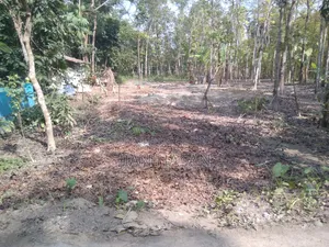 ১৩ শতাংশ জমি বিক্রি করা হবে লোকেশন কাগাশুরা আমিরগঞ্জ এর মাজামাজি