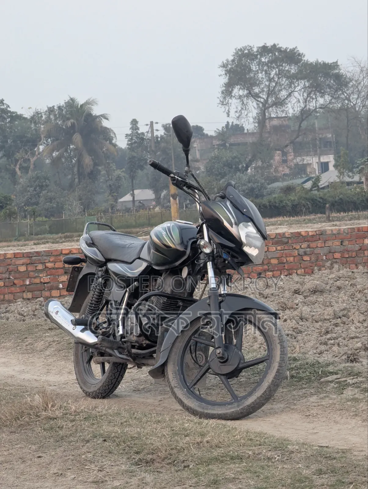 Bajaj Discover 100 2013 Black