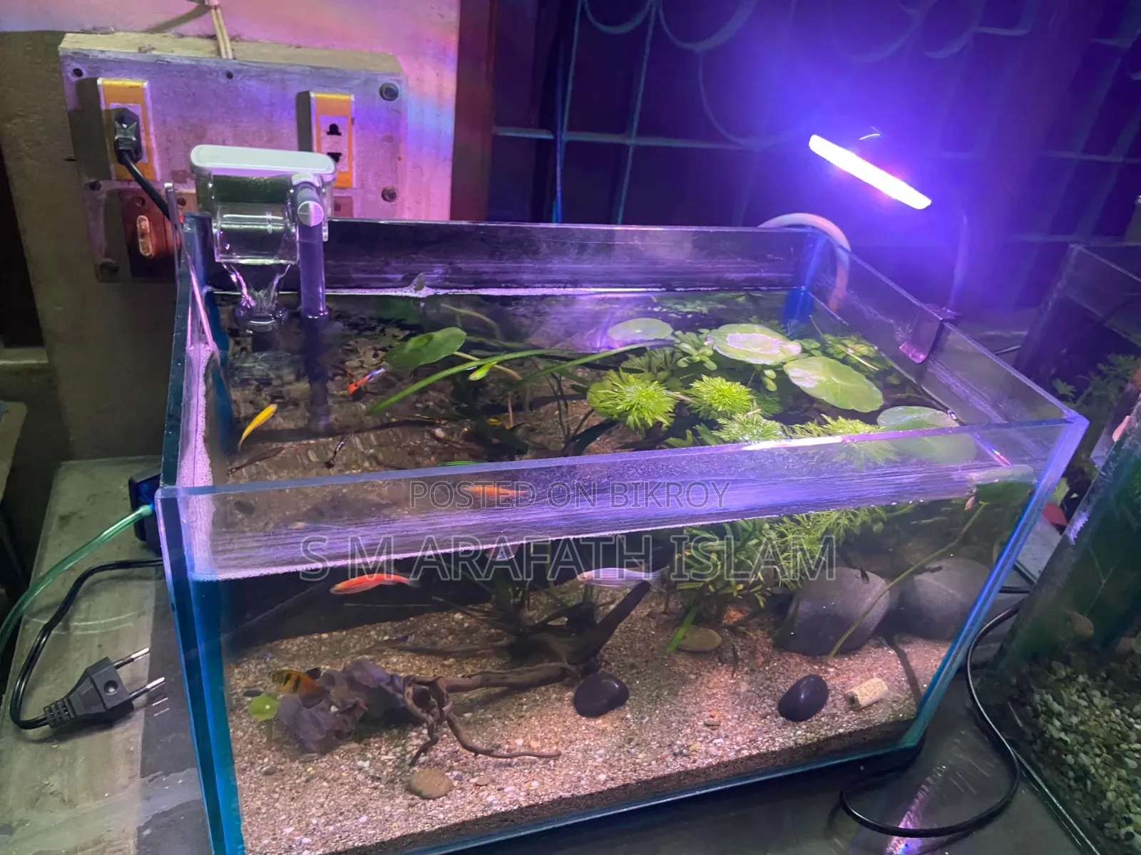 Planted Aquarium
