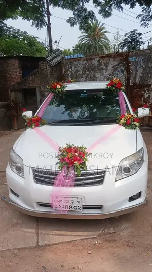 Toyota Axio 2012 White