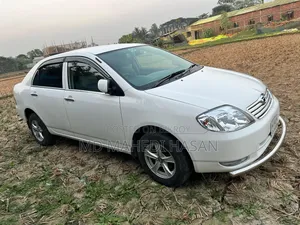 Toyota Corolla 2002 White