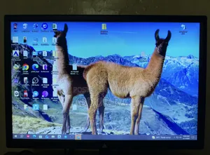 Atlas 19" Monitor