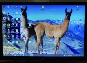 Atlas 19" Monitor