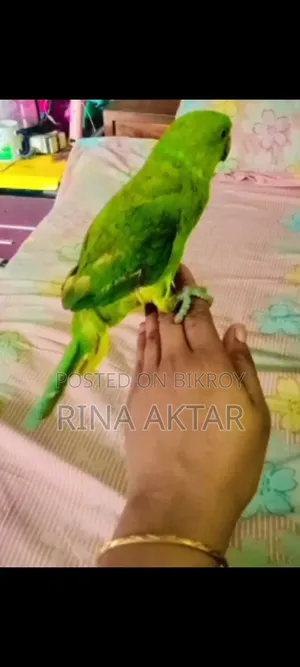 টিয়া পাখি