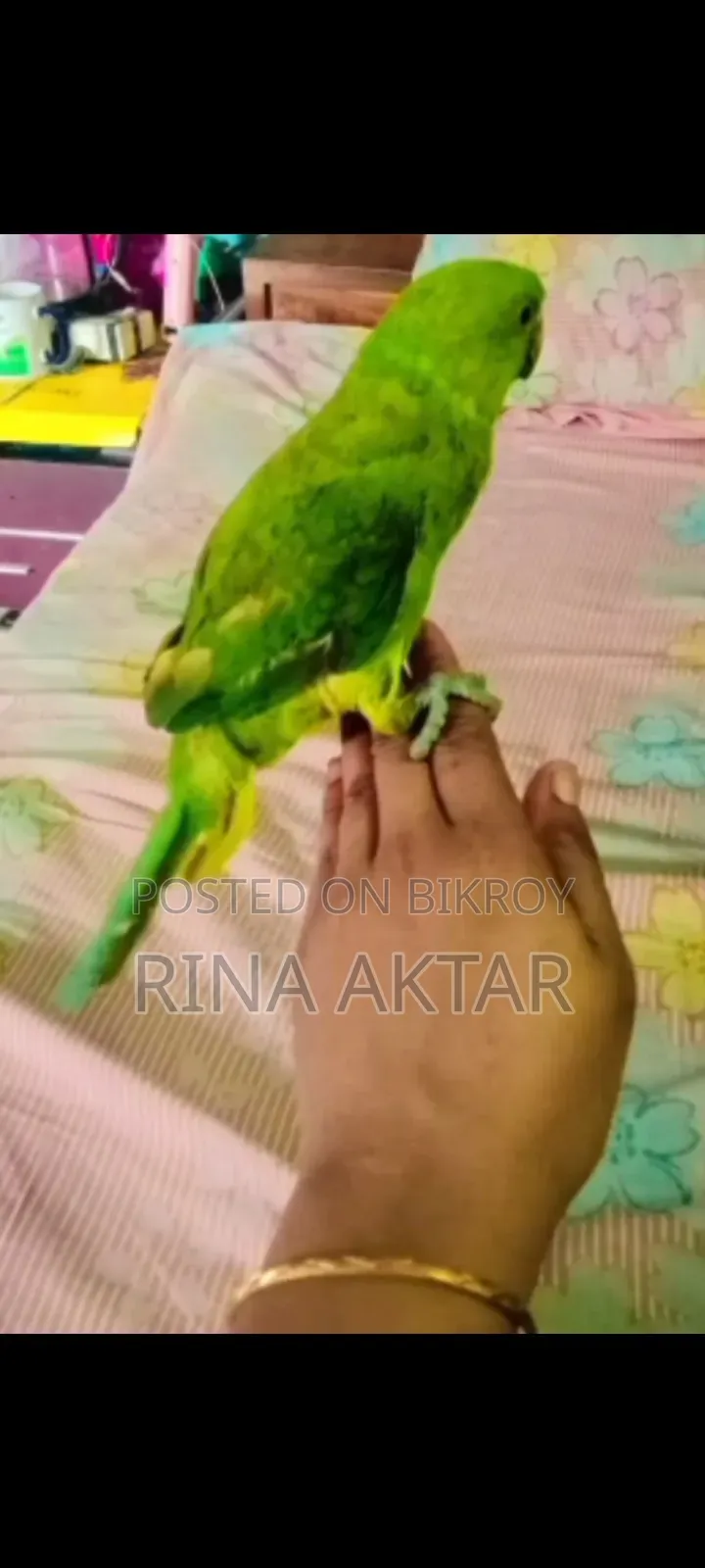 টিয়া পাখি