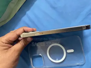Apple iPhone 14 Pro Max 256 GB Silver