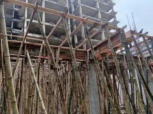 4bdrm Apartment in Bagdag Tajmahol, Mohammadpur for Sale
