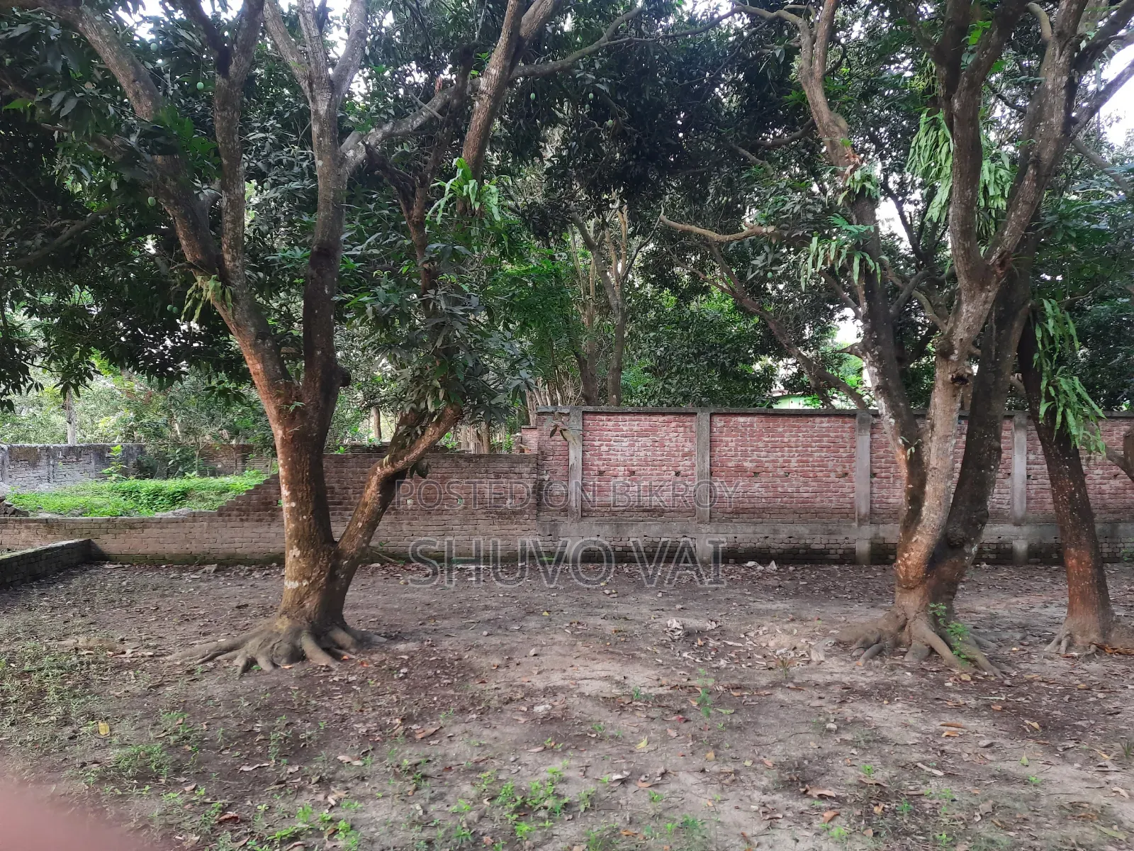 Land for Sale in Sadar, Satkhira