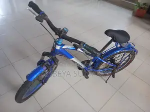 বাইসাইকেল বিক্রি
