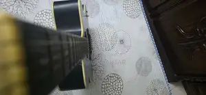 Signature Guiter