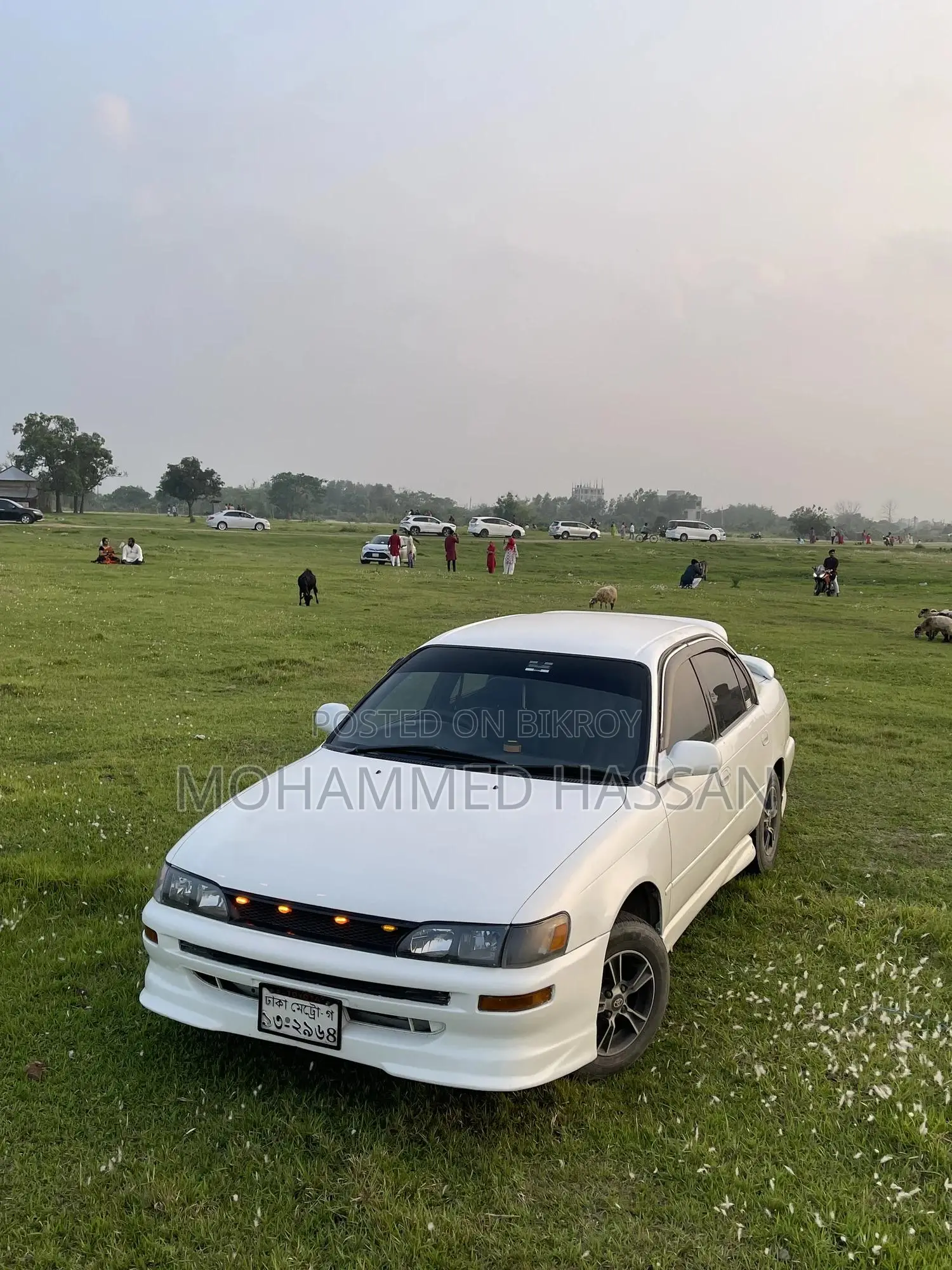 Toyota Corolla Sedan 1994 White