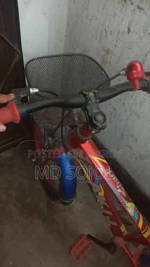 Highly Attractive Bicycle for Boys and Girls