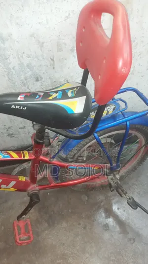 Highly Attractive Bicycle for Boys and Girls