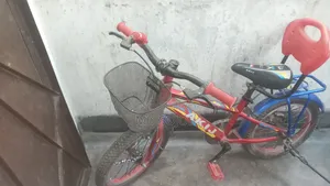 Highly Attractive Bicycle for Boys and Girls
