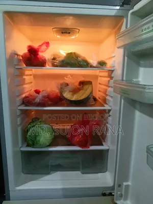 ঈদ ধামাকা, গরুর জন্য ফ্রিজ লাগবে?