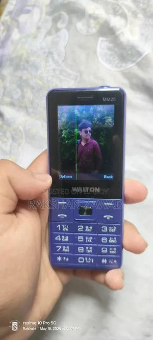ওয়ালটন পার্পল