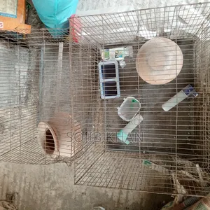 পুরাতন খাচা