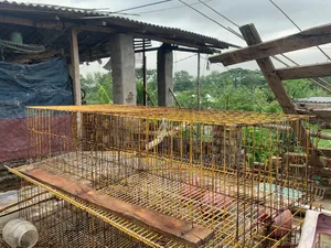 মুরগির খাচা
