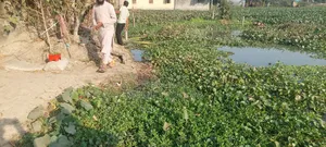 4 Katha Land Share for Sale