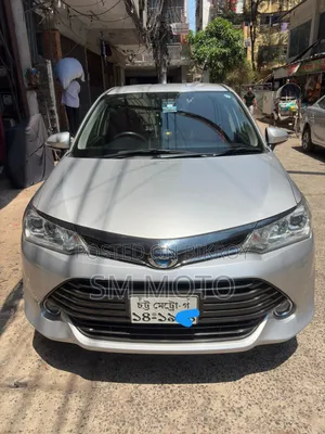 Toyota Axio 2016 Silver
