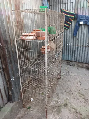 পাখির খাঁচা