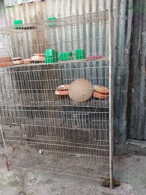 পাখির খাঁচা