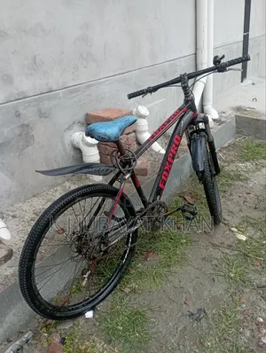 বাই সাইকেল