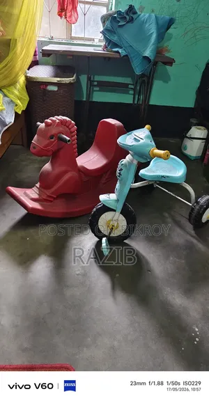Horse and Toy Bicycle
