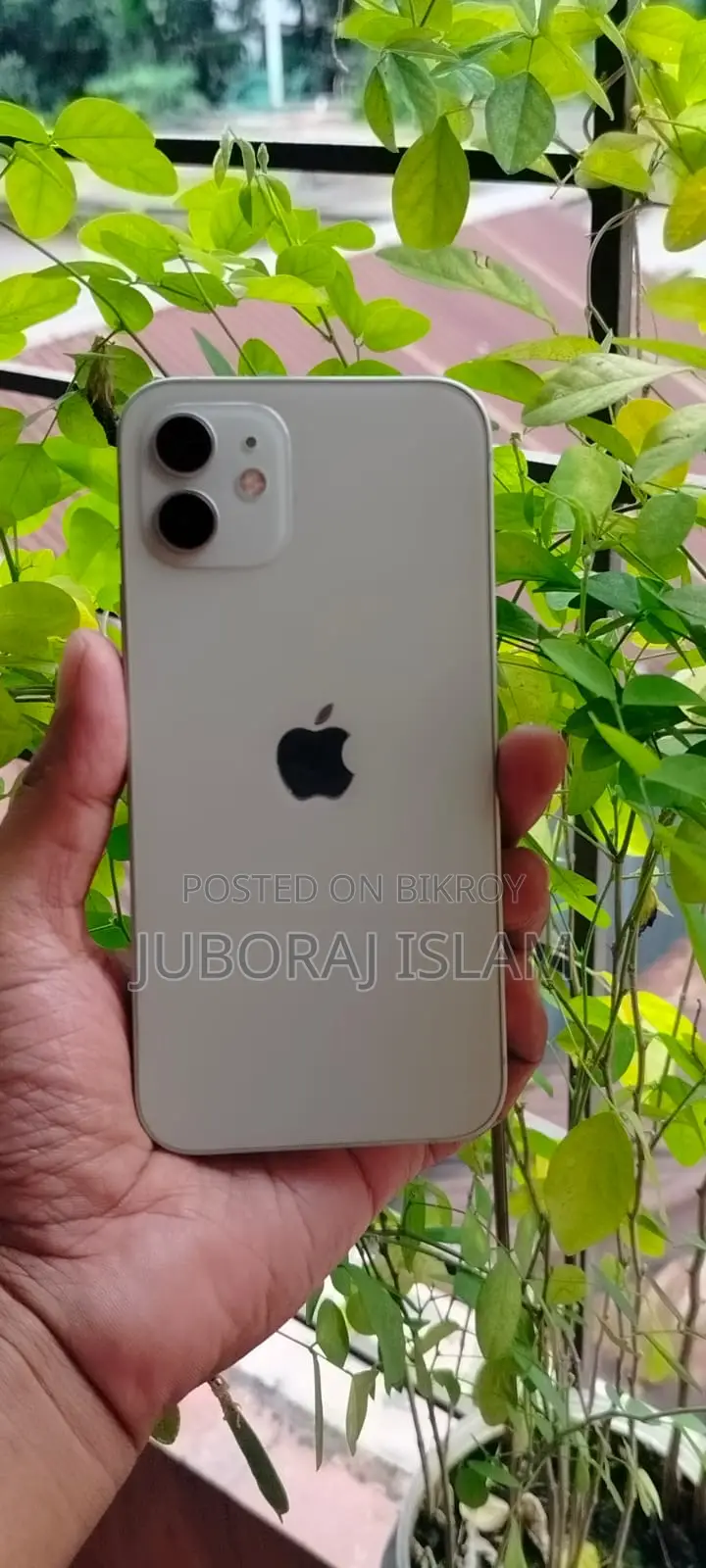 Apple iPhone 12 128 GB Green