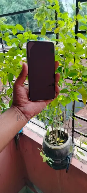Apple iPhone 12 128 GB Green