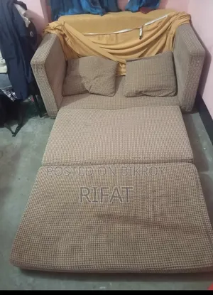 Regal Sofa Cum Bed