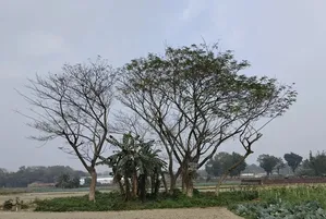 জমি বিক্রয়