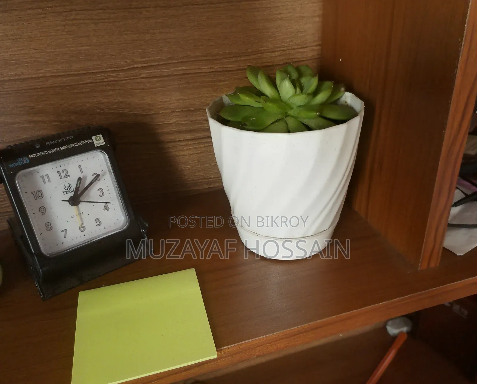 Elegant Indoor Echeveria Succulent With White Geometric Pot