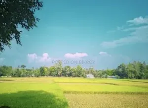 জমির বিজ্ঞাপন
