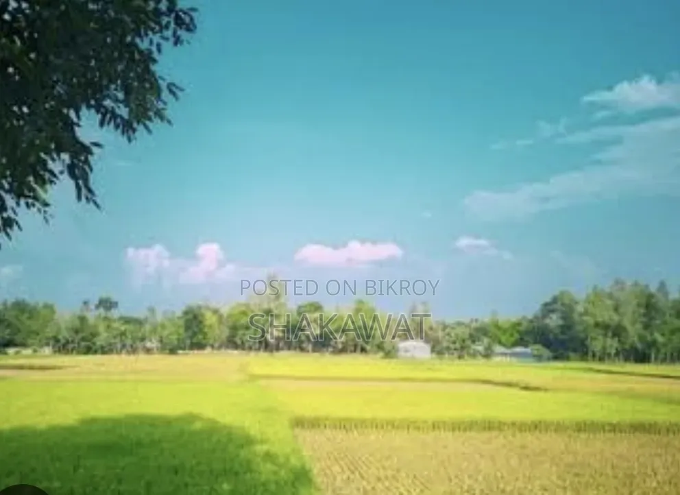 Land Property