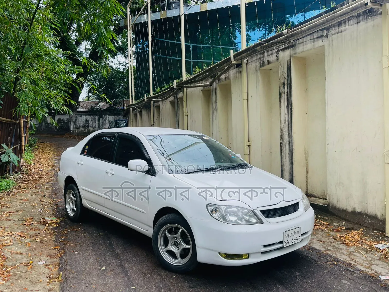Toyota Corolla 2004 White