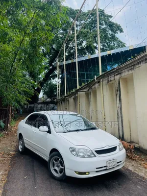 Toyota Corolla 2004 White