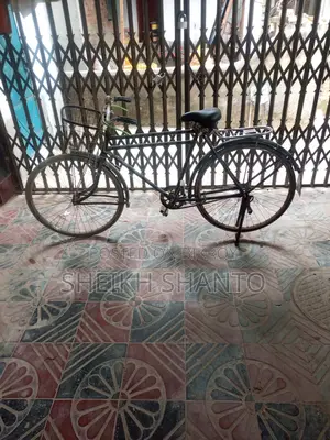 ফনিক্স সাইকেল